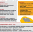 Осторожно Геморрагическая лихорадка - Администрация Светлоярского района